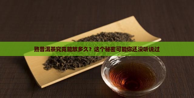 熟普洱茶能存放多少年