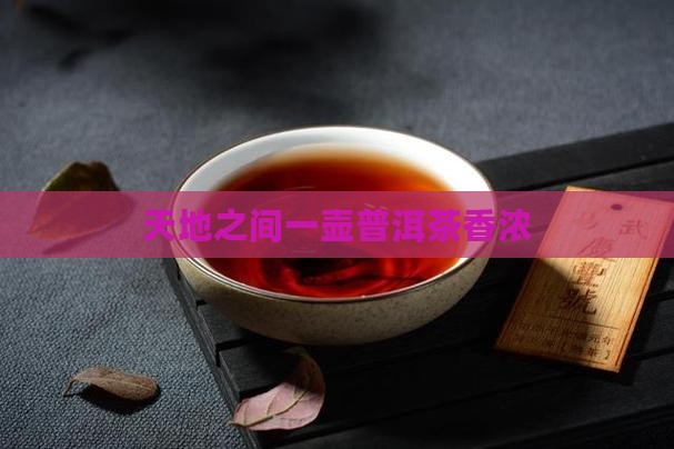 一壶普洱茶半盏天地宽