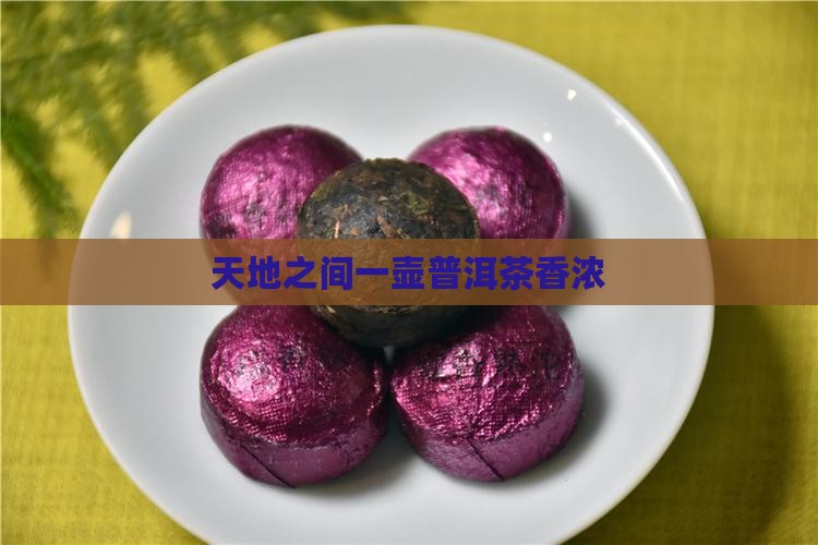 一壶普洱茶半盏天地宽