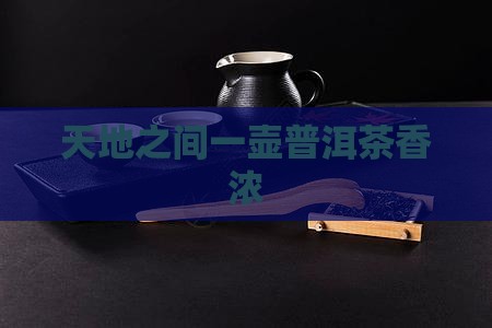 一壶普洱茶半盏天地宽