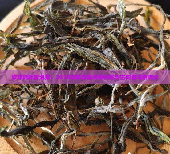 欣邦倚邦普洱茶