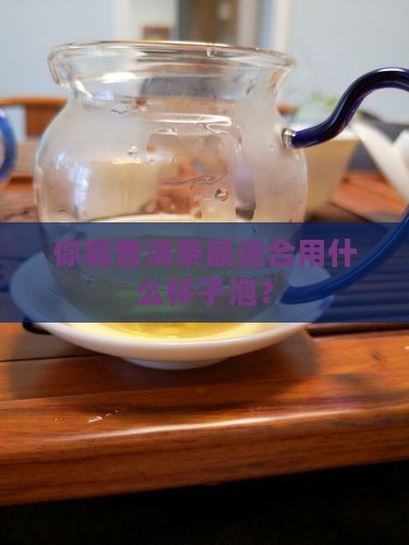 普洱茶适合什么杯子