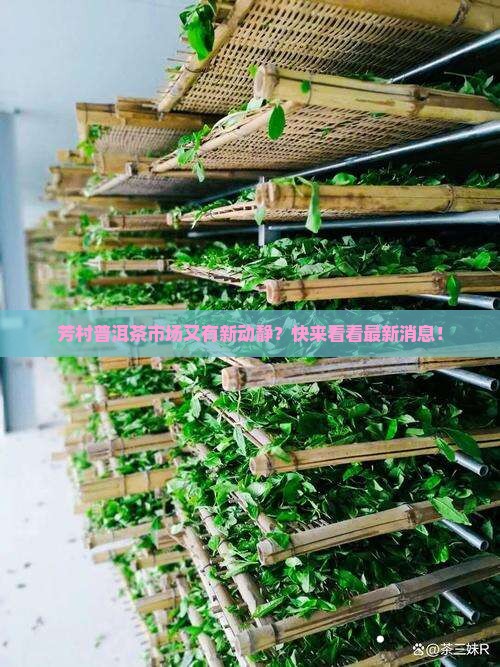 芳村普洱茶交易网最新消息