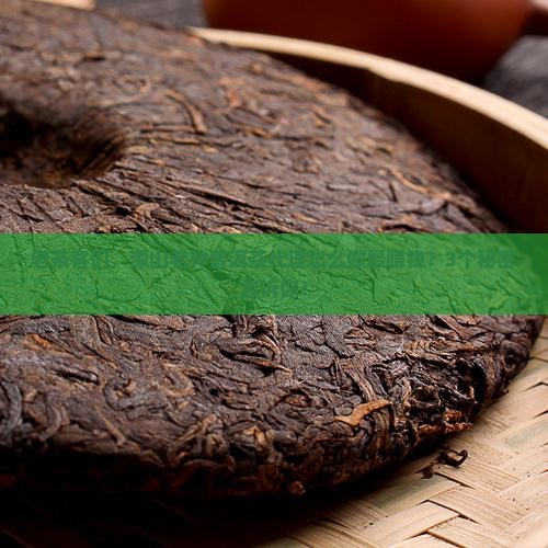 深山老林普洱茶代理
