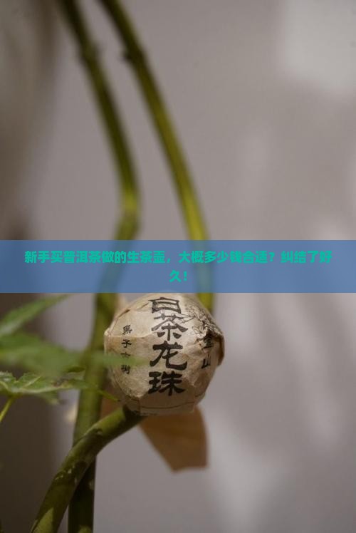 普洱茶做的生茶壶多少钱