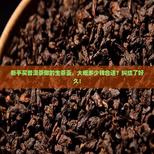 普洱茶做的生茶壶多少钱
