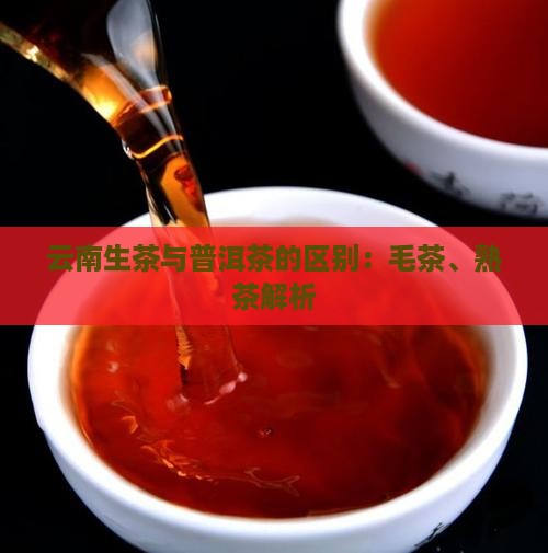 云南生茶普洱茶的区别
