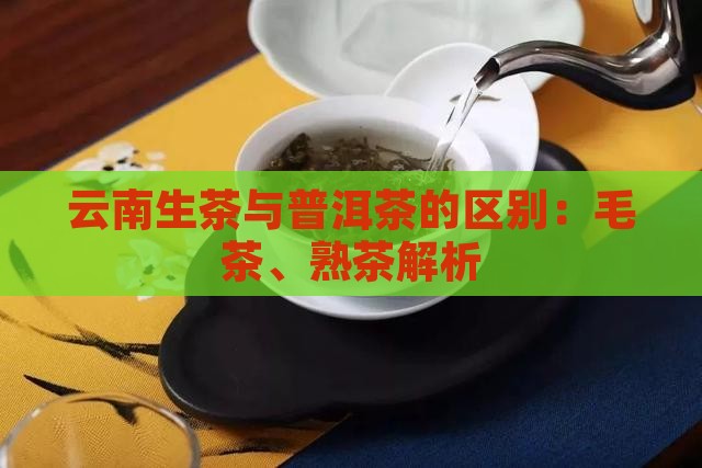 云南生茶普洱茶的区别