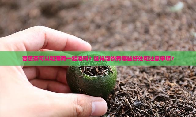 普洱茶可以和薄荷一起泡吗
