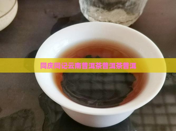同记云南普洱茶