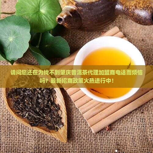 肇庆普洱茶代理加盟商电话 肇庆普洱茶代理加盟商电话