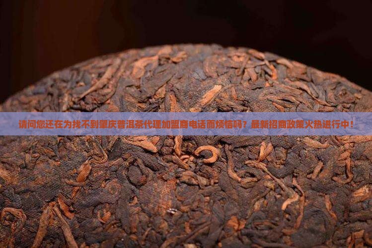 肇庆普洱茶代理加盟商电话 肇庆普洱茶代理加盟商电话
