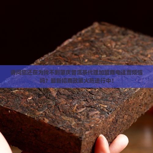 肇庆普洱茶代理加盟商电话 肇庆普洱茶代理加盟商电话