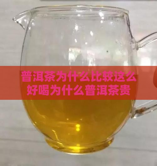 普洱茶为什么比较好喝还贵