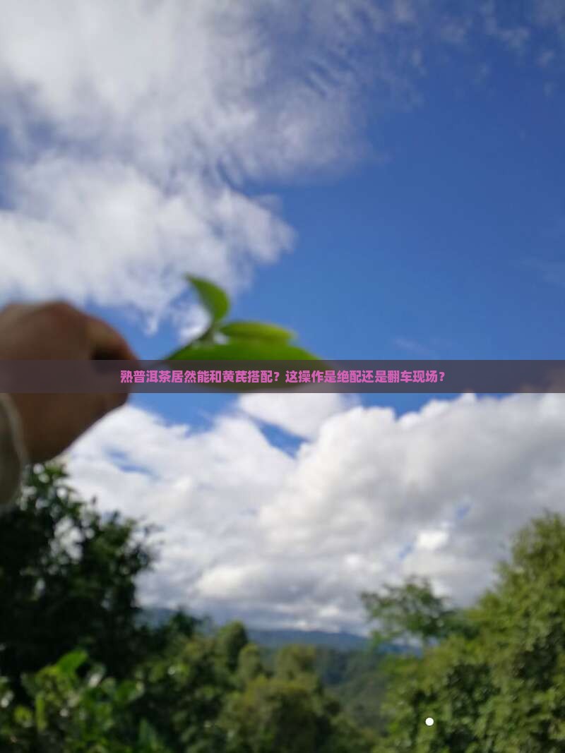 熟普洱茶能和黄芪一起用吗