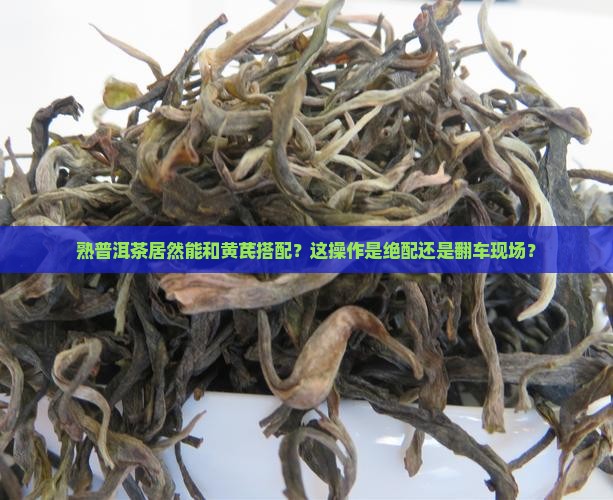 熟普洱茶能和黄芪一起用吗