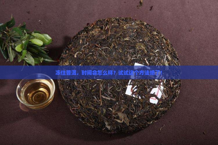 普洱茶冷冻保存