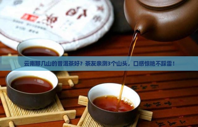 云南那几山的普洱茶好
