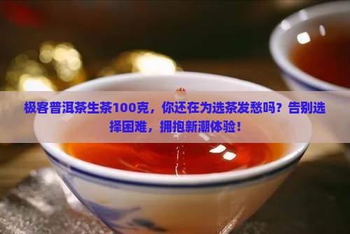 极客普洱茶生茶100克