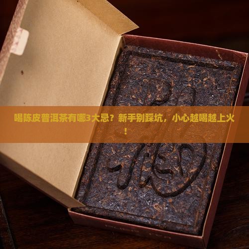 陈皮普洱茶忌什么