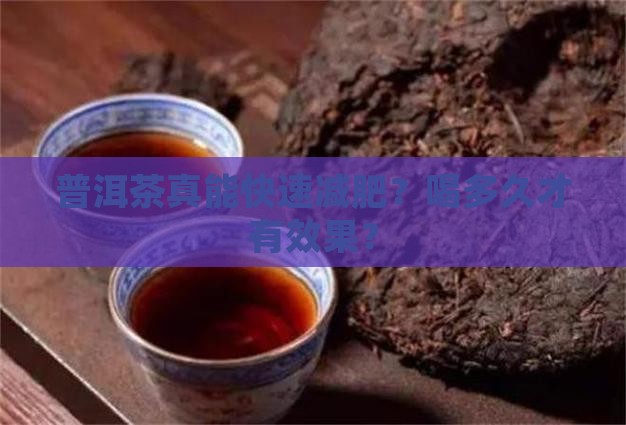 普洱茶减肥周期多长可以喝
