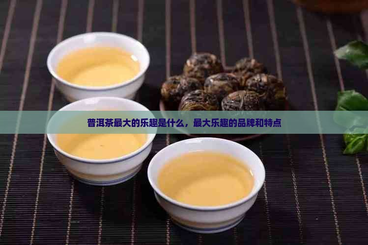普洱茶最大的乐趣是什么