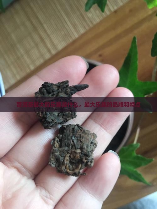 普洱茶最大的乐趣是什么