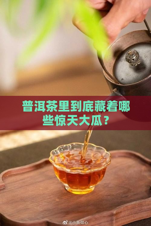 普洱茶的谎言是什么