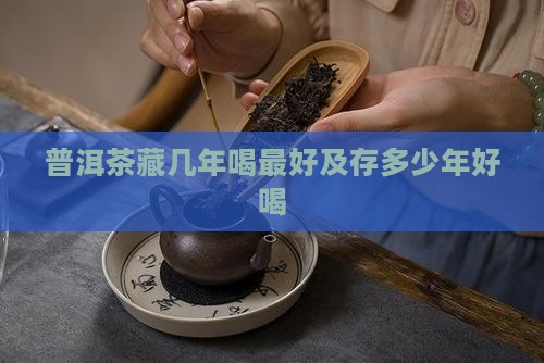 普洱茶藏几年喝