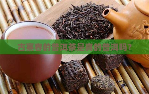古寨春的茶是真的么