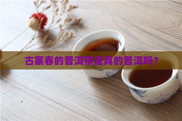 古寨春的茶是真的么