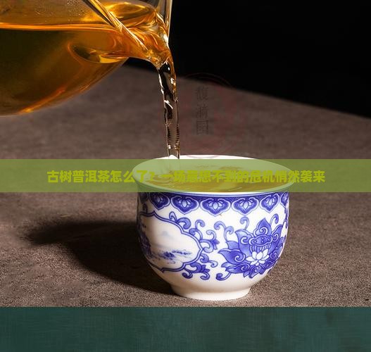 古树普洱茶的危机