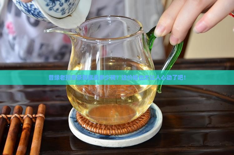 普缘老班章茶价格