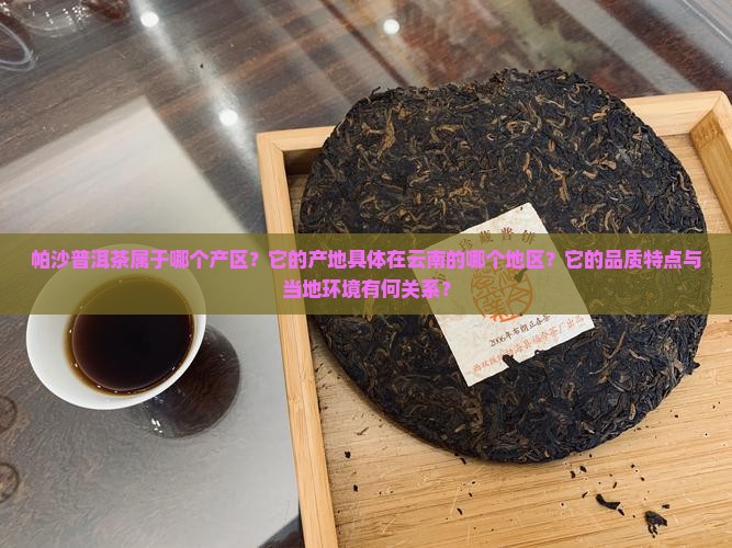 帕沙普洱茶属于哪里