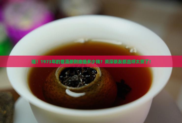 一九七三年年份普洱茶价格