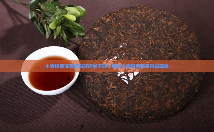 小青柑普洱茶挂霜好还是不好
