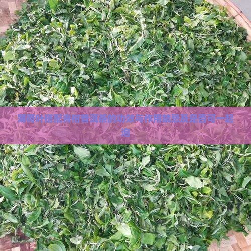 薄荷叶搭配青柑普洱茶的功效