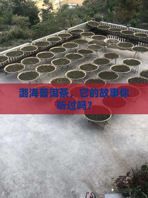 潞海普洱茶发展史