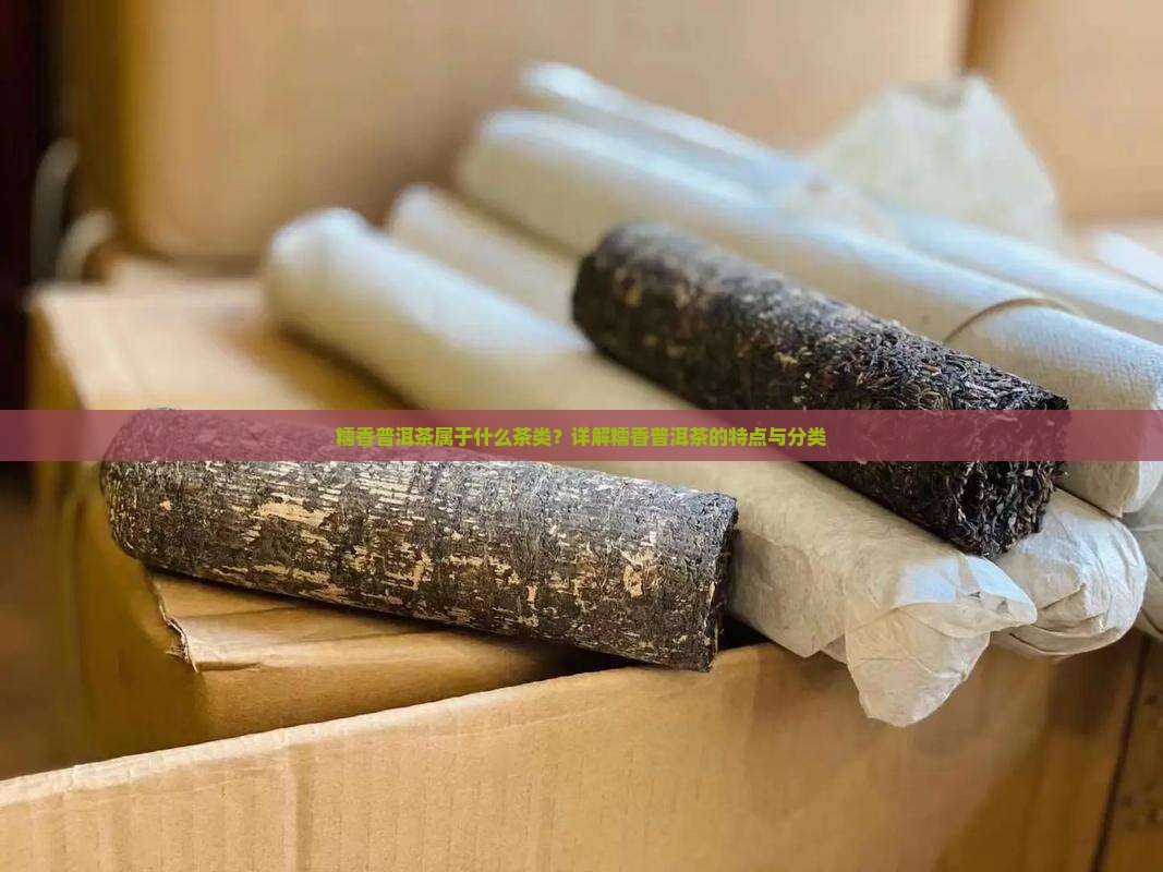 糯香普洱茶属于什么茶