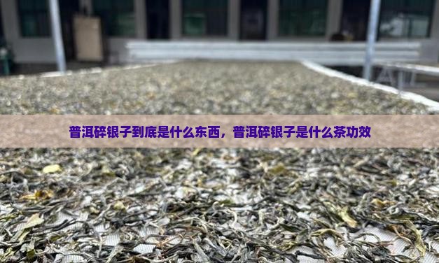 普洱碎银子到底是什么东西