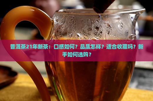 普洱茶21年新茶