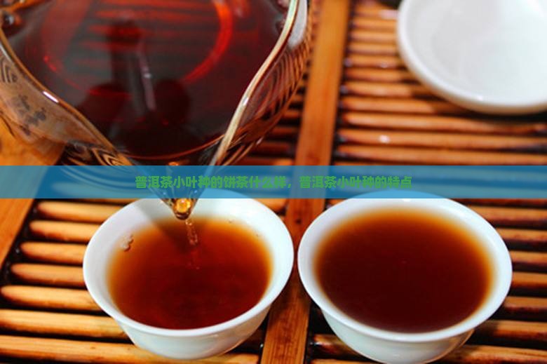 普洱茶小叶种的饼茶什么样