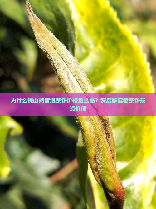保山熟普洱茶饼价格