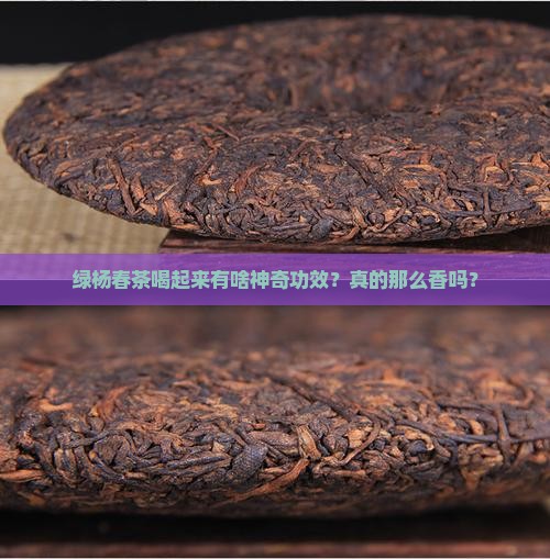 绿杨春茶的功效与作用