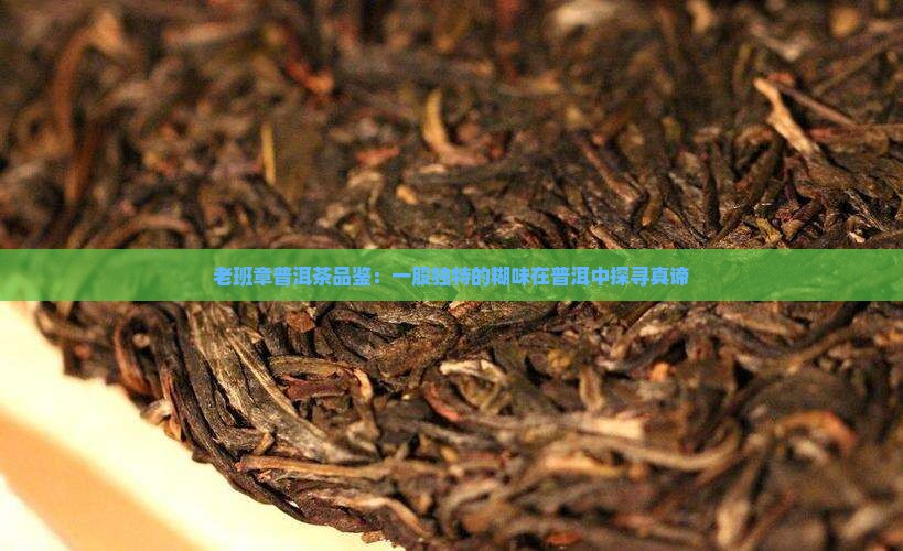 老班章生茶一股糊味