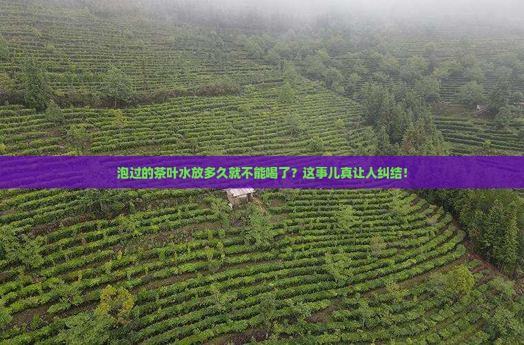 茶叶水过多久不能喝