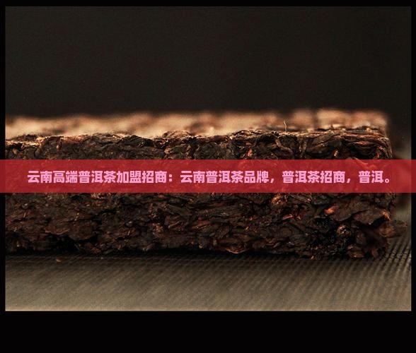 云南高端普洱茶招商