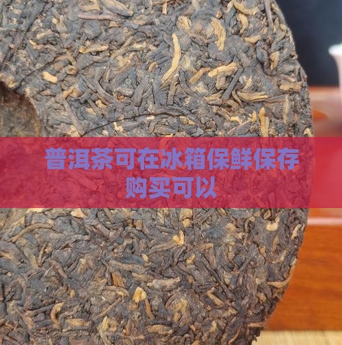 普洱茶可在冰箱保鲜购买藏吗