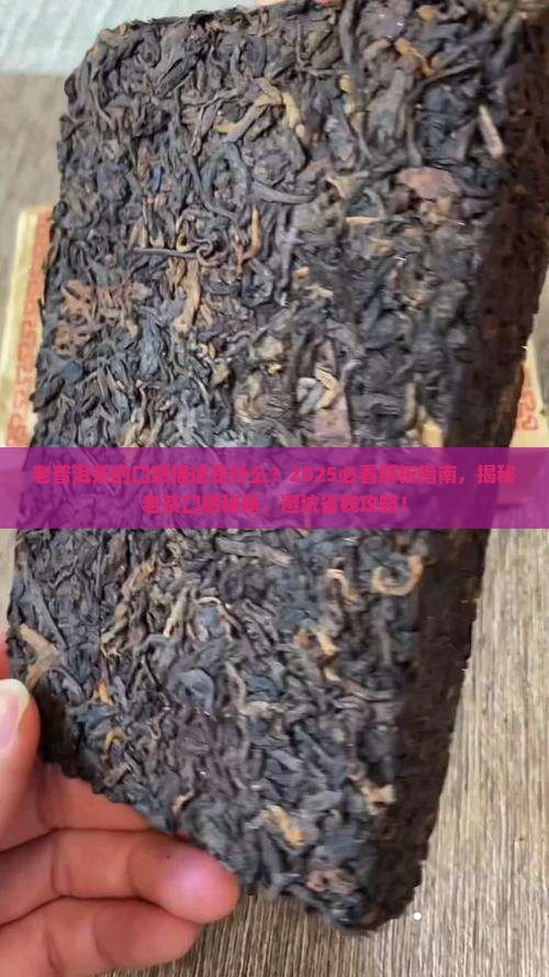 老普洱茶的口感描述是什么