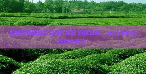 郑州熟普洱茶招商条件